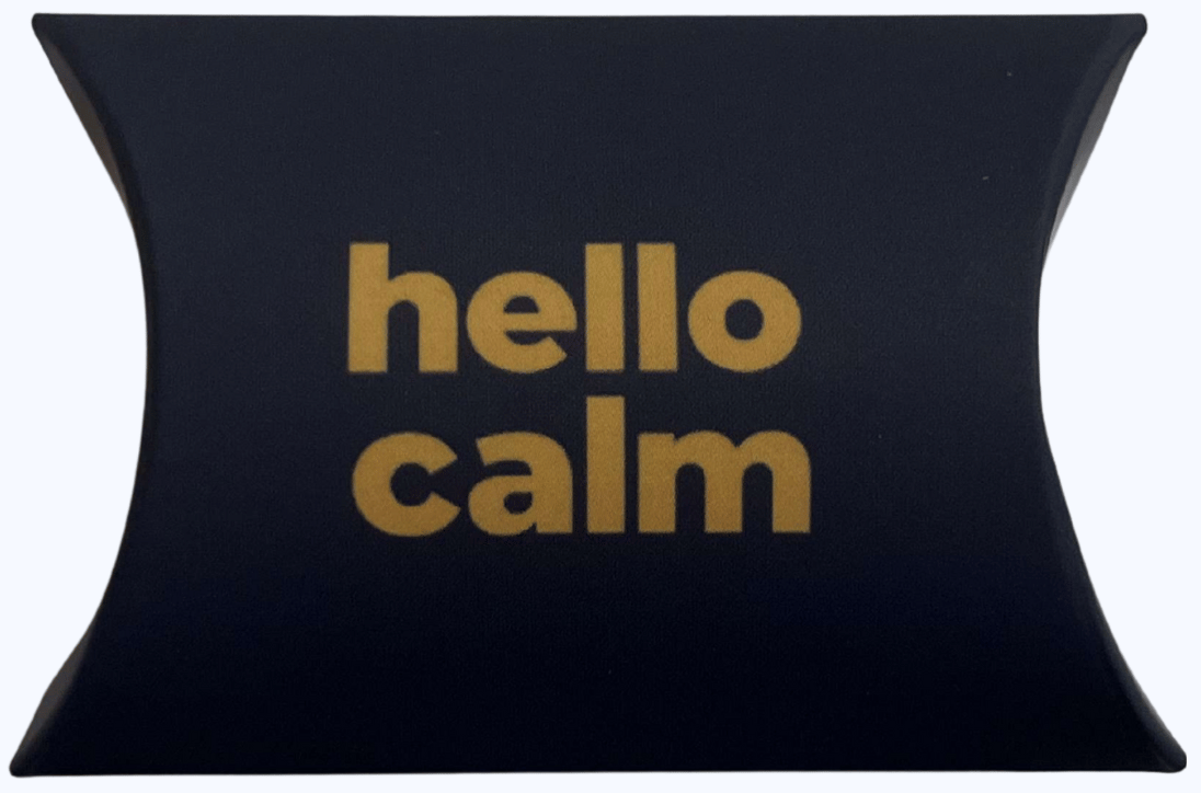 hello calm ADHD earplug earplug travel case